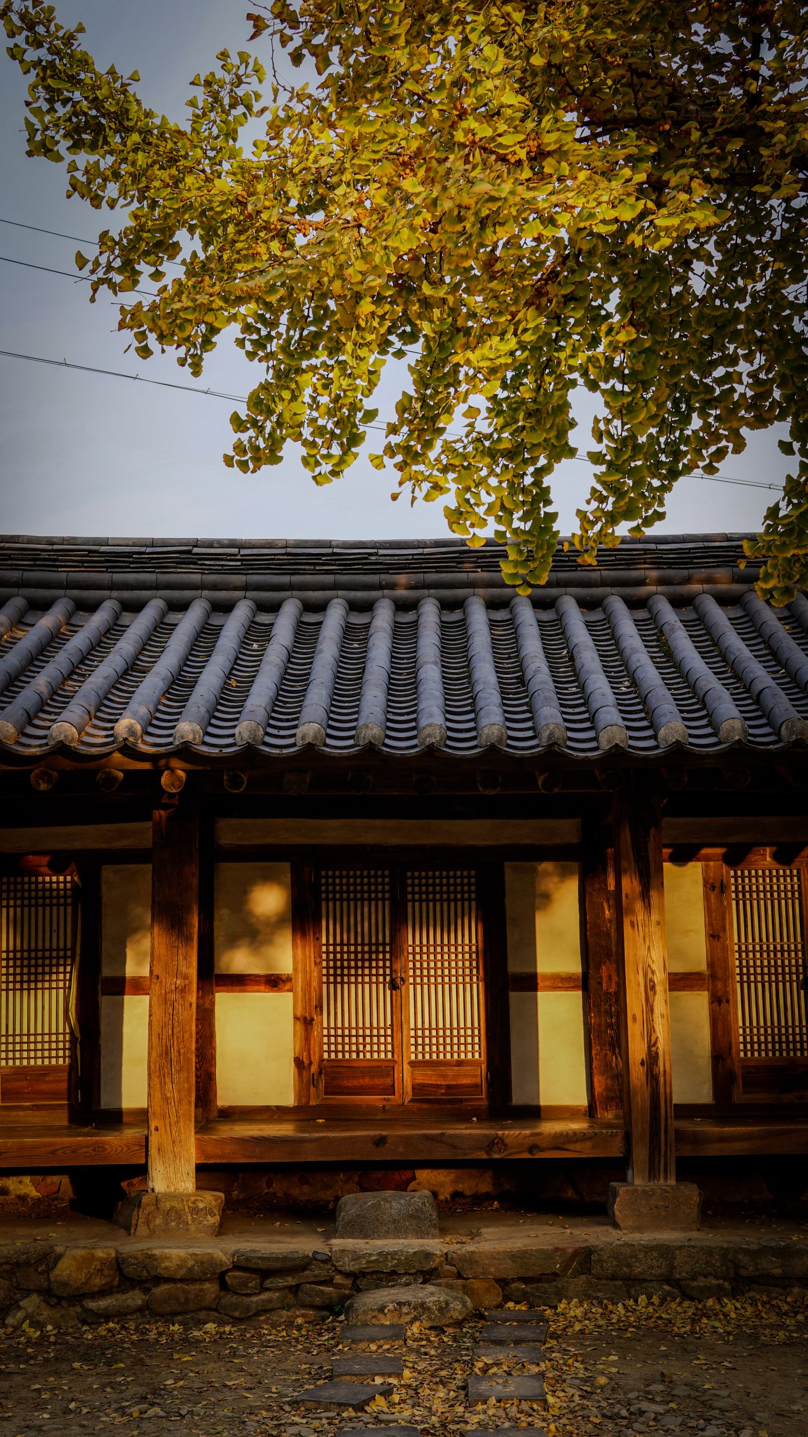A traditional Korean hanok with a tiled roof and wooden lattice doors, lit by warm evening light, with golden ginkgo leaves above.